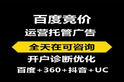 知名SEM公司案例分析：优化策略与成果